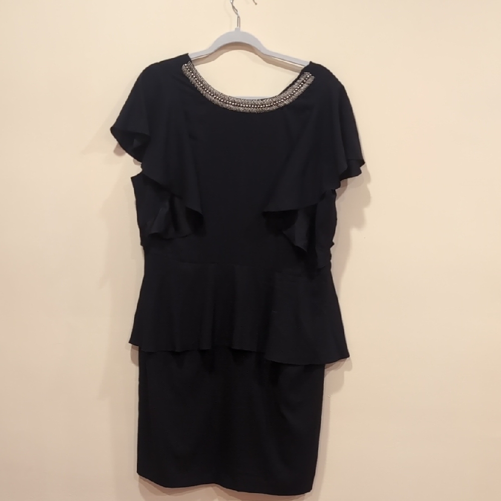 The Limited Black Dress with Ruffle Sleeves and Beaded Neckline